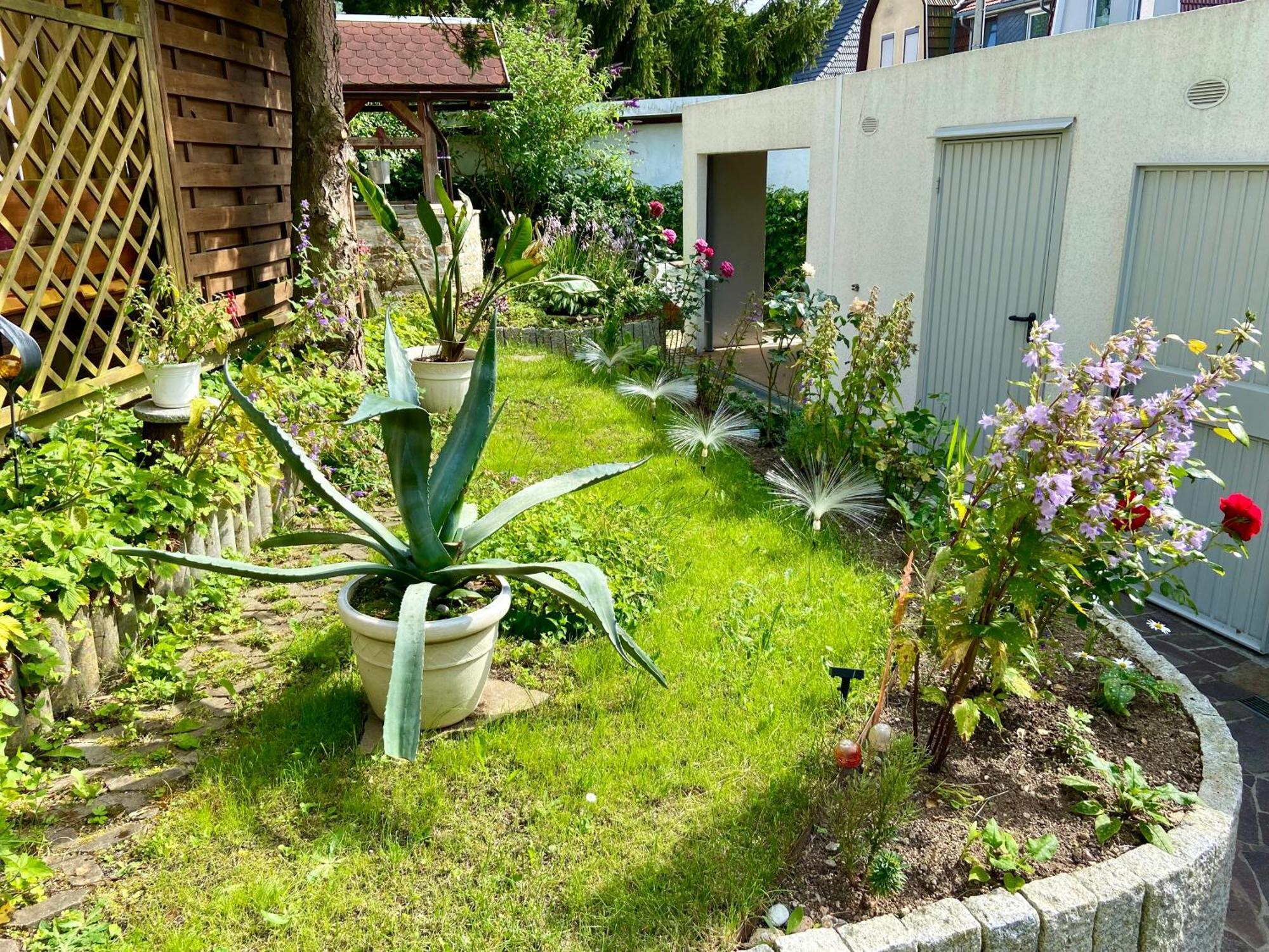 Apartmán Regenbergblick Zella-Mehlis Exteriér fotografie